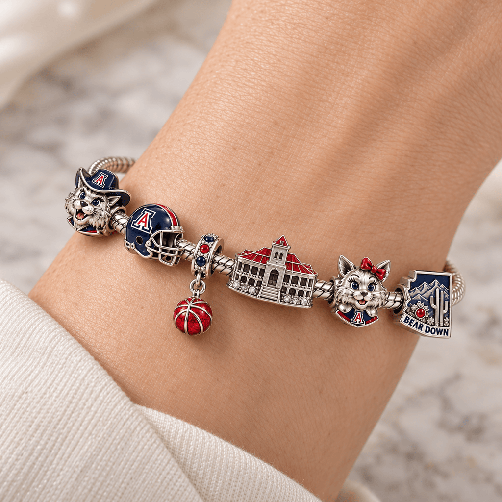 AWC Silver Charm Bracelet Set PTKL