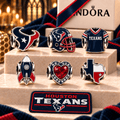 HTX Silver Charm Set NHVH