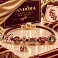 FSSB Braided Leather Charm Bracelet Set NHVH